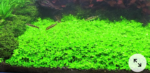 2024/12/1000300417.png