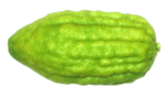 2025/01/1000310364.jpg